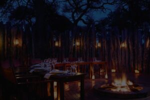 Savute Elephant Lodge, A Belmond Safari | Ultimate Travel Co