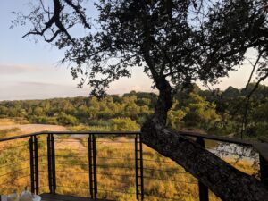 Dulini Leadwood Lodge | South Africa | Ultimate Travel Company