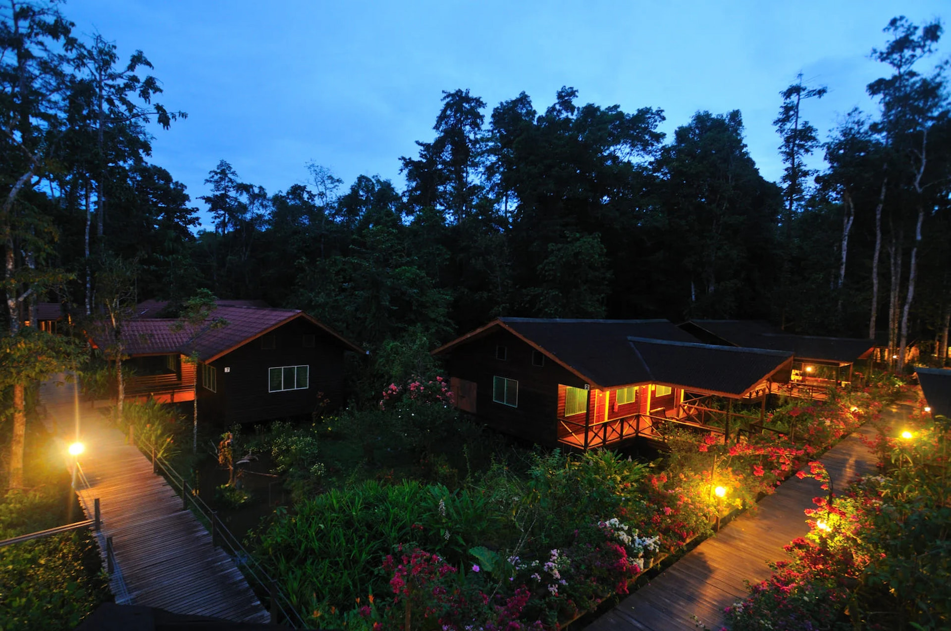 Abai Jungle Lodge, Kinabatangan River | Ultimate Travel Co