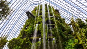 Cloud Forest at Gardens at the Bay | Singapore | The Ultimate Travel Company