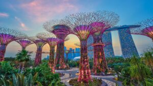 Super Tree Grove | Singapore | The Ultimate Travel Company