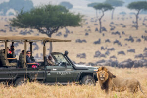 Angama Mara, Masai Mara | Ultimate Travel Co