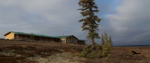 Arctic Haven Wilderness Lodge, Ennadai Lake | The Ultimate Travel Company