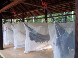 Atta Rainforest Lodge | Iwokrama | The Ultimate Travel Company