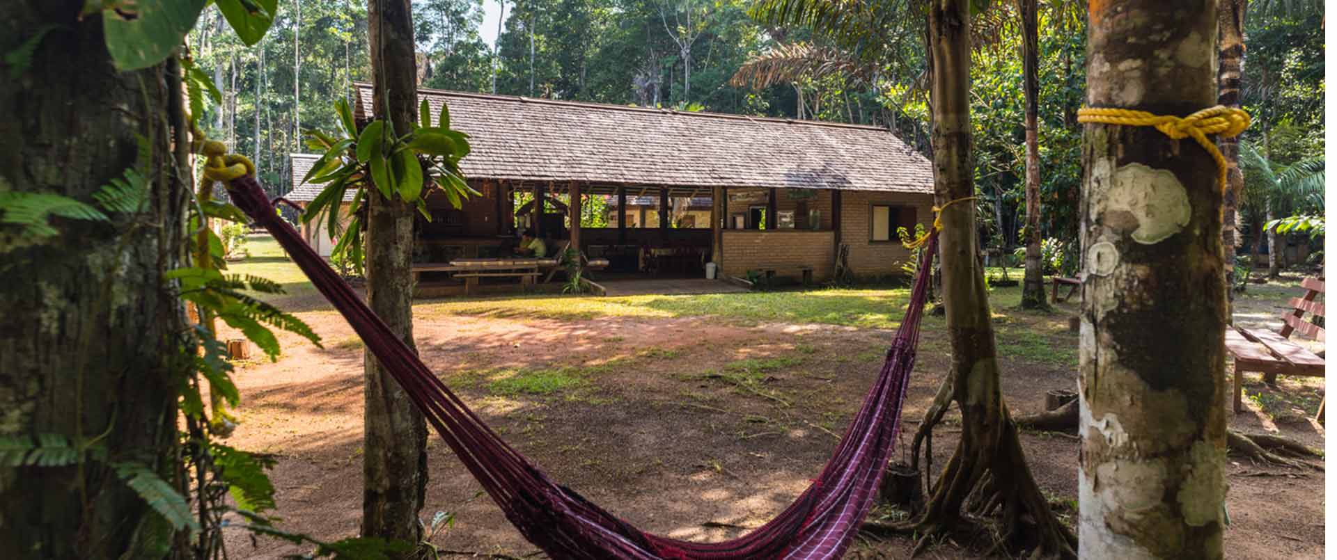 Atta Rainforest Lodge | Iwokrama | The Ultimate Travel Company