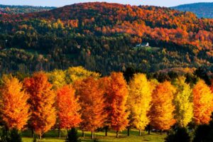 Autumn in New England | Luxury USA Holidays | The Ultimate Travel Company