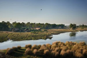 Ultimate Cape Town And Botswana Safari With Belmond | Luxury Africa Safaris | The Ultimate Travel Company