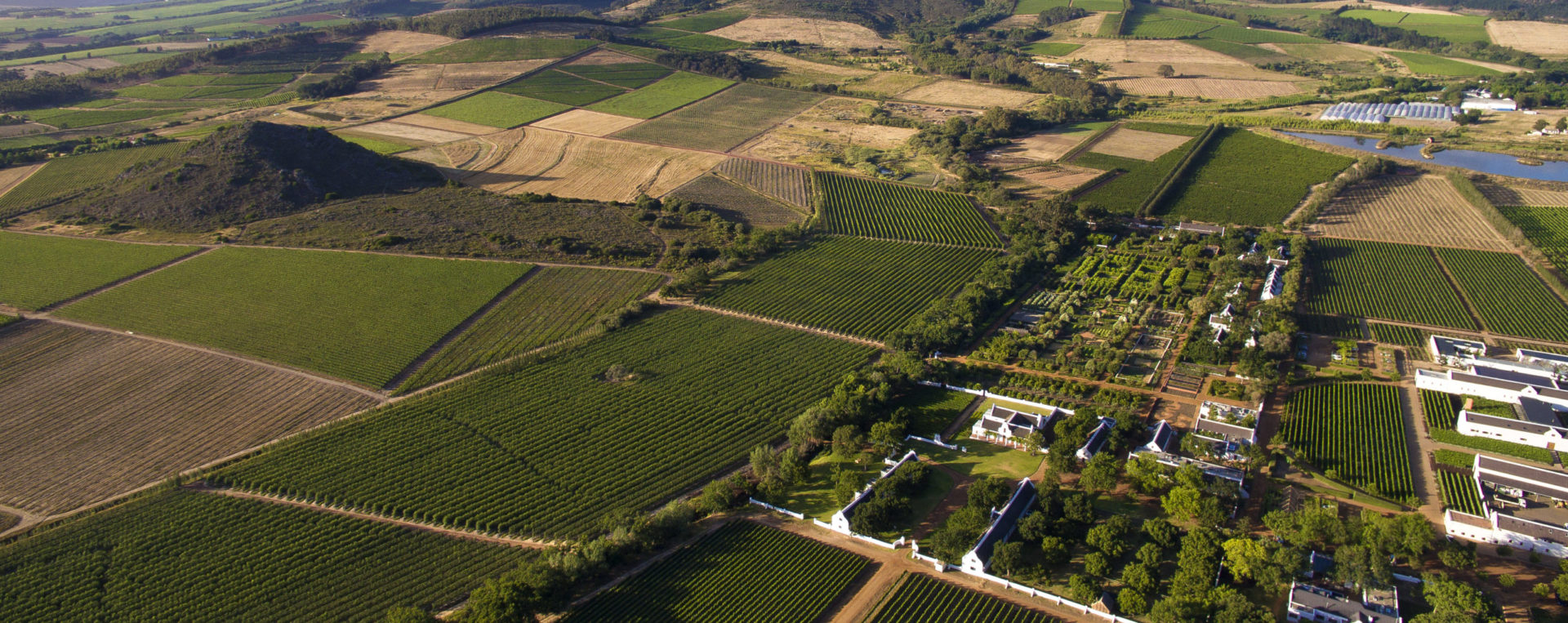 Babylonstoren Wine Estate | South Africa | Ultimate Travel Company