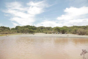 Bishangari, Lake Langano | The Ultimate Travel Company