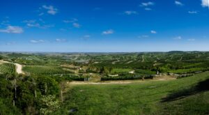 Bodega Garzón, Uruguay | Luxury Uruguay Holidays | The Ultimate Travel Company