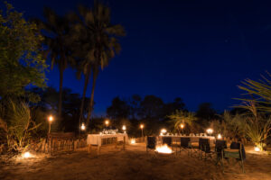 Pelo | Botswana | Ultimate Travel Company