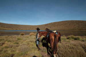 Borana Lodge, Laikipia | Ultimate Travel Co