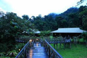 Borneo Rainforest Lodge Danum Valley | Ultimate Travel Co