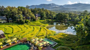 Four Seasons, Chiang Mai, Thailand | The Ultimate Travel Company