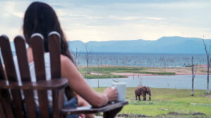 Changa Safari Camp, Matusadona National Park | Zimbabwe | Woman watching the Elephant while drinking coffee| The Ultimate Travel Company