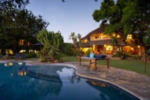 The Ant's Nest Waterberg Reserve | Luxury South Africa Safaris | The Ultimate Travel Company