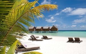 Constance Moofushi, South Ari Atoll | The Ultimate Travel Company