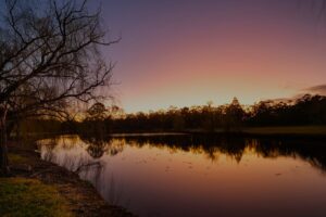 Peppers Convent, Hunter Valley | Bridge & Wickers