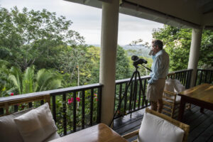 Copal Tree Lodge, Punta Gorda | The Ultimate Travel Company