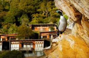 Cormorant | New Zealand Holidays | The Ultimate Travel Company
