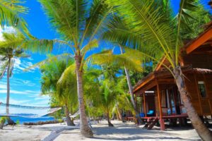 Cove Eco Resort | Raja Ampat | Indonesia | The Ultimate Travel Company