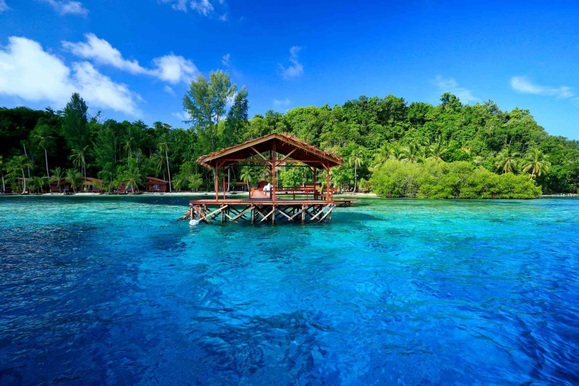 Cove Eco Resort | Raja Ampat | Indonesia | The Ultimate Travel Company