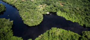 Cristalino Lodge, Southern Amazon | Ultimate Travel Co