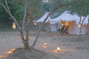 Dera Amer Wilderness Camp | Jaipur | The Ultimate Travel Company