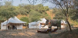 Dera Amer Wilderness Camp | Jaipur | The Ultimate Travel Company