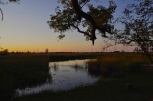 Camp Xakanaxa | Botswana | Ultimate Travel Company