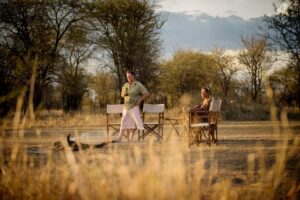 Serian’s Serengeti Lamai | Serengeti National Park | Ultimate Travel Co