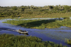 Kwetsani Camp | Botswana | Ultimate Travel Company
