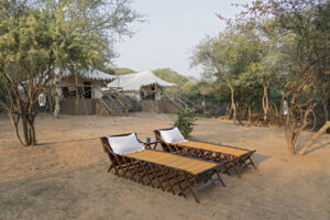Dera Amer Wilderness Camp | Jaipur | The Ultimate Travel Company