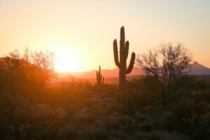 Desert Sunset in Arizona | Luxury USA Holidays | The Ultimate Travel Company