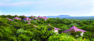 Etosha Safari Lodge | The Ultimate Travel Company