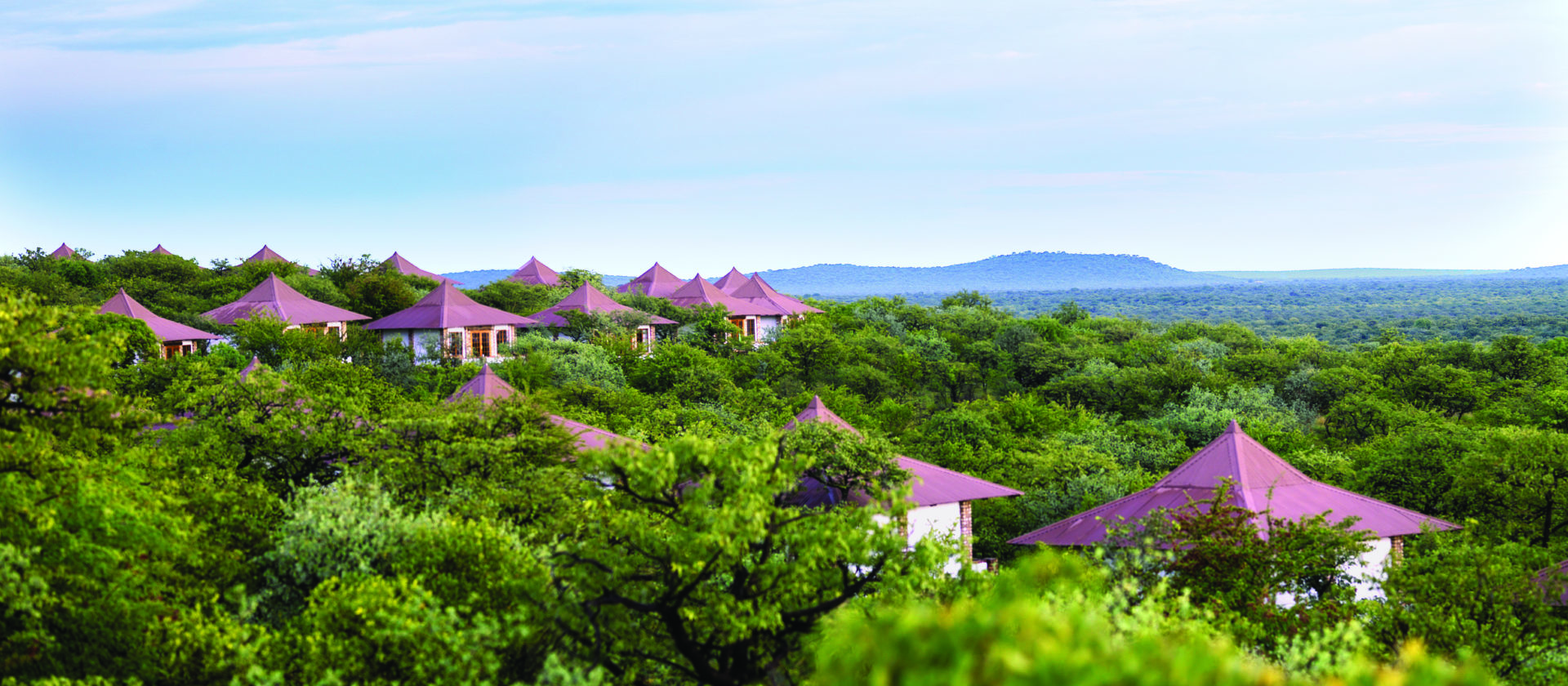 Etosha Safari Lodge | The Ultimate Travel Company