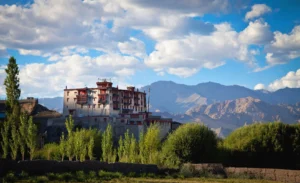 Stok Palace Heritage Hotel, Ladakh | The Ultimate Travel Company
