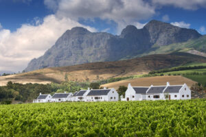 Babylonstoren Wine Estate | South Africa | Ultimate Travel Company