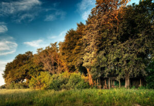 Kwara Camp | Botswana | Ultimate Travel Company