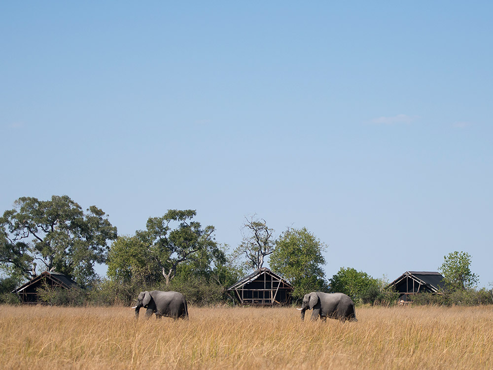 Lebala Camp | Botswana | Ultimate Travel Company