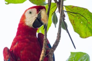 Family Costa Rica | The Ultimate Travel Company