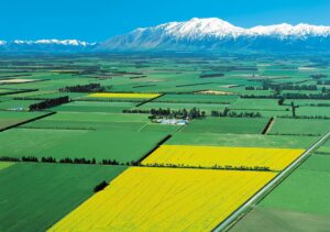 Canterbury Plains | New Zealand Holidays | The Ultimate Travel Company