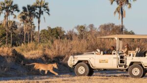 Xigera Safari Lodge | Botswana | Ultimate Travel Company