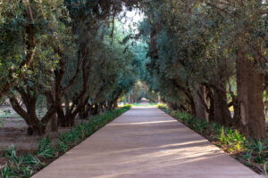 The Oberoi Marrakech | The Ultimate Travel Company