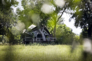 Abu Camp | Botswana | Ultimate Travel Company