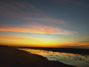 Bamurru Plains, Kakadu National Park | Safari Suite, Australia | Bridge & Wickers