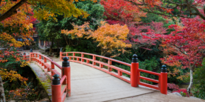 Iwaso | Miyajima Island | Japan Holidays | The Ultimate Travel Company