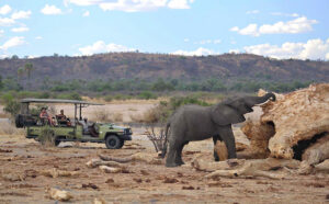 Jabali Ridge, Ruaha | Ultimate Travel Co
