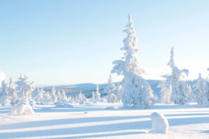 Jávri Lodge | Arctic | Snow | The Ultimate Travel Company