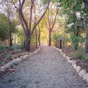 Jim’s Jungle Retreat, Jim Corbett National Park 1